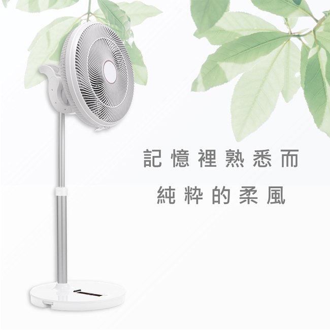 AirRun 14吋 落地循環兩用電風扇 BC